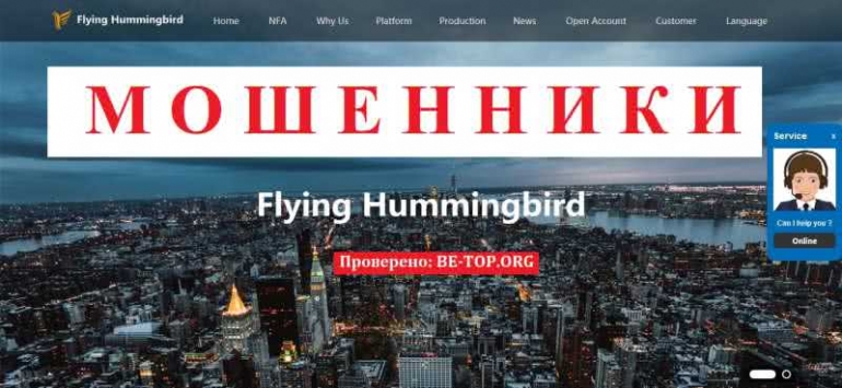 Flying Hummingbird МОШЕННИК отзывы и вывод денег